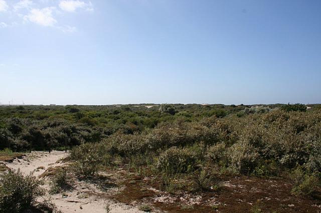 IMG 0174 800x533