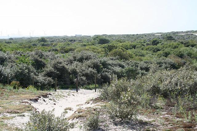 IMG 0175 800x533