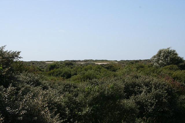 IMG 0177 800x533