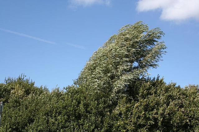 IMG 0187 800x533