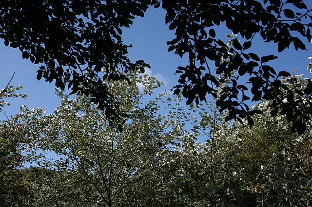 IMG 0198 800x533
