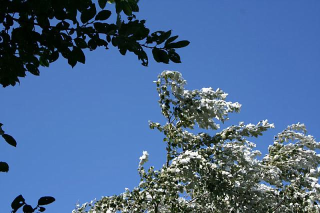 IMG 0203 800x533