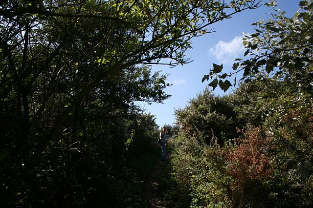 IMG 0205 800x533