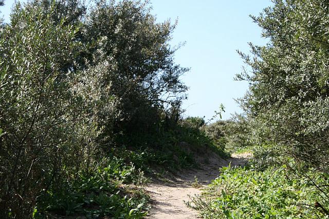 IMG 0211 800x533