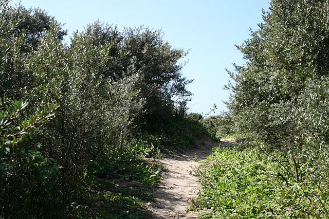 IMG 0212 800x533