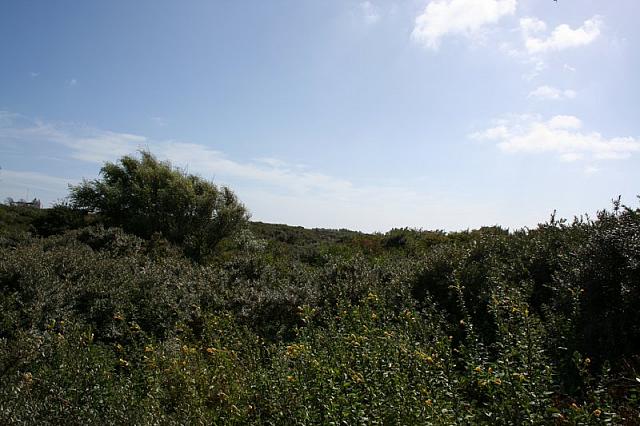IMG 0215 800x533