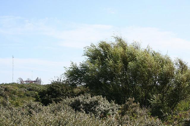 IMG 0217 800x533