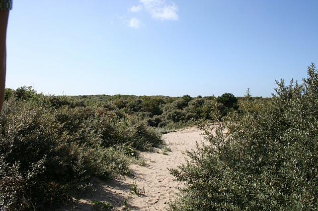 IMG 0219 800x533