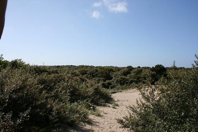 IMG 0220 800x533