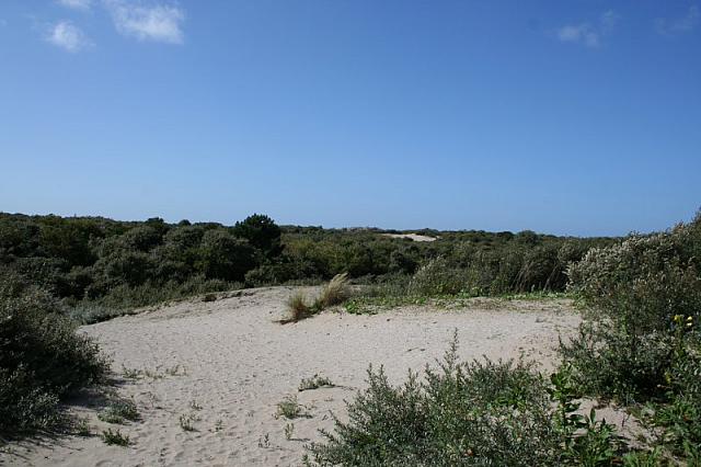 IMG 0221 800x533