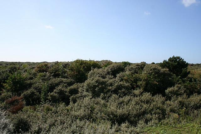 IMG 0229 800x533