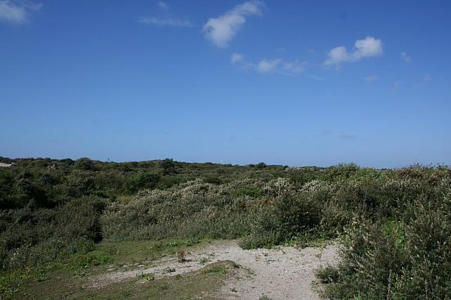 IMG 0231 800x533