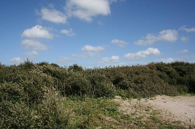 IMG 0233 800x533