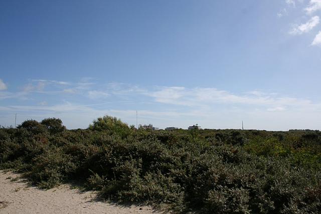 IMG 0234 800x533