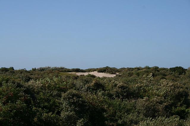 IMG 0239 800x533