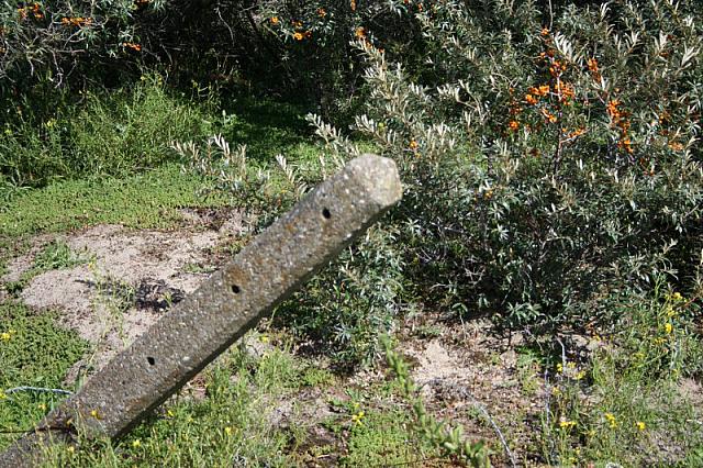 IMG 0244 800x533
