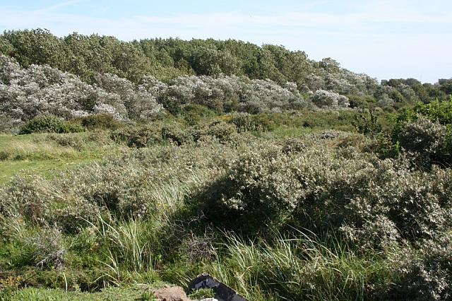 IMG 0252 800x533