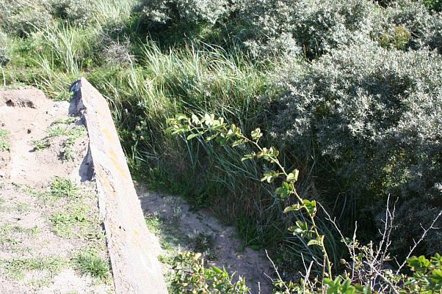 IMG 0254 800x533