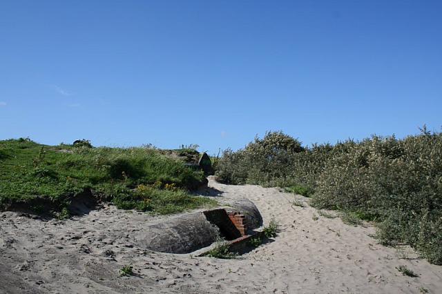 IMG 0259 800x533