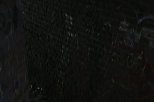 IMG 0262 800x533
