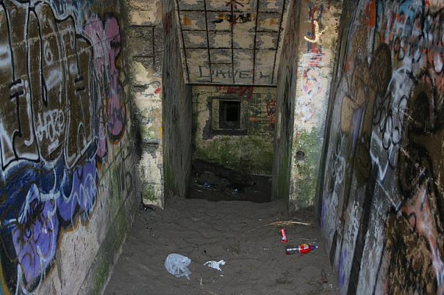 IMG 0264 800x533