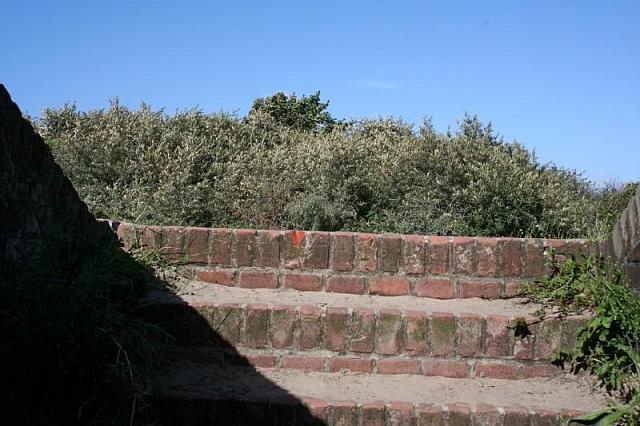 IMG 0267 800x533