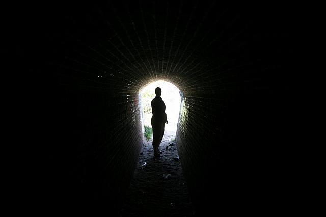IMG 0271 800x533