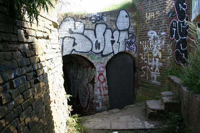 IMG 0275 800x533