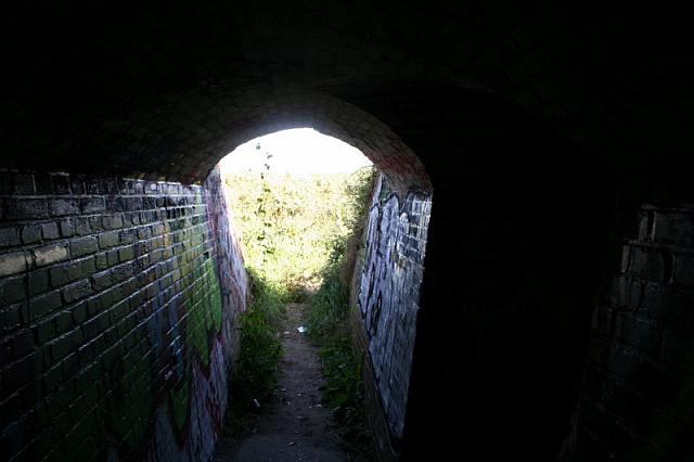 IMG 0276 800x533