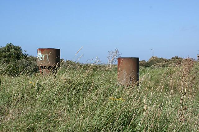 IMG 0277 800x533