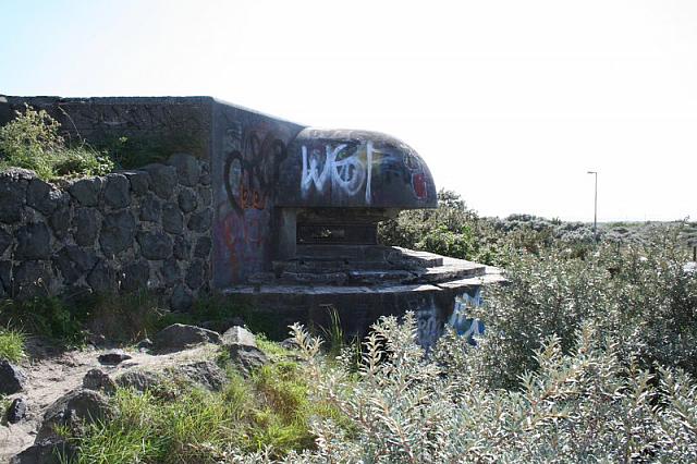 IMG 0283 800x533