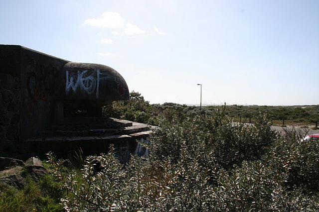 IMG 0285 800x533