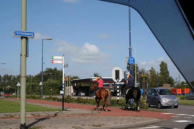 IMG 0294 800x533