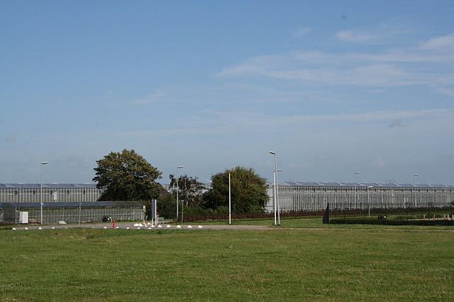 IMG 0299 800x533
