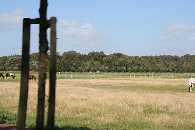 IMG 0303 800x533
