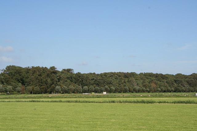 IMG 0305 800x533