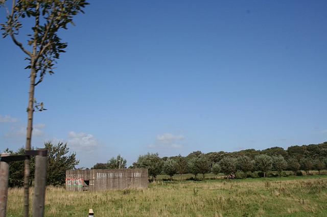 IMG 0307 800x533