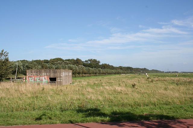 IMG 0308 800x533