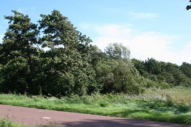 IMG 0309 800x533