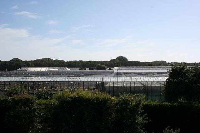 IMG 0313 800x533
