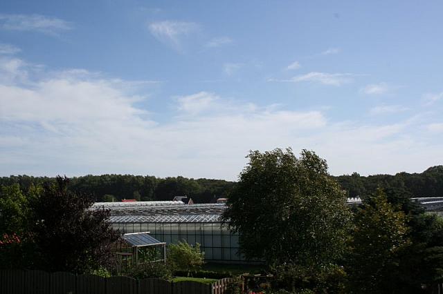 IMG 0315 800x533