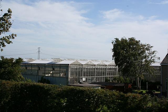 IMG 0319 800x533
