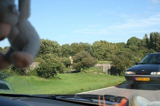 IMG 0320 800x533