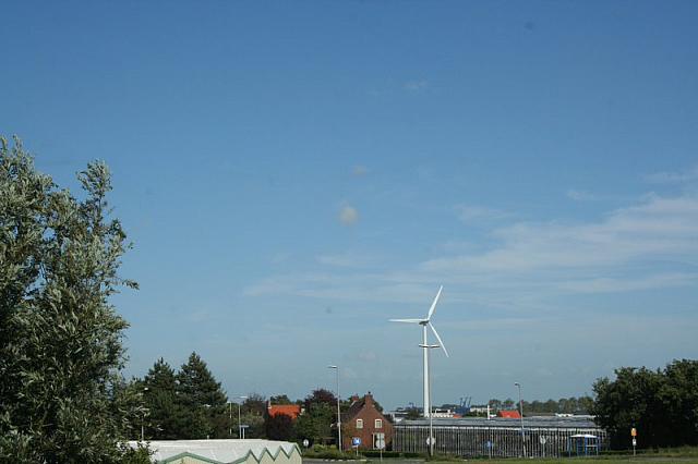 IMG 0333 800x533