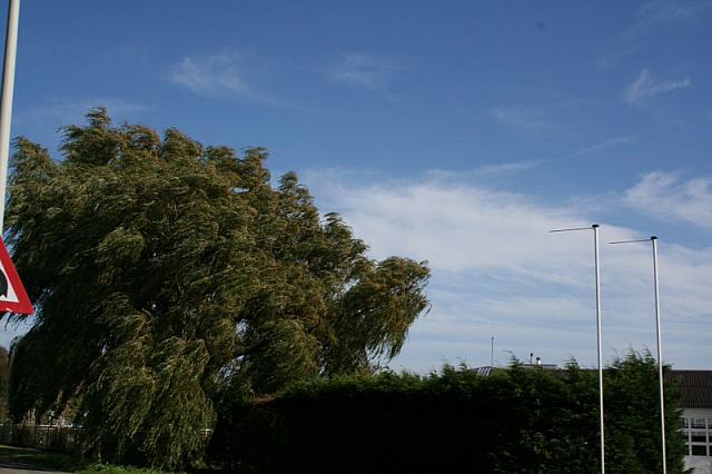 IMG 0338 800x533