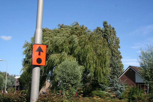 IMG 0340 800x533