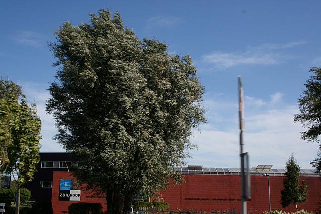 IMG 0341 800x533