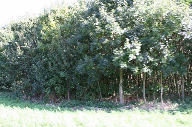 IMG 0346 800x533