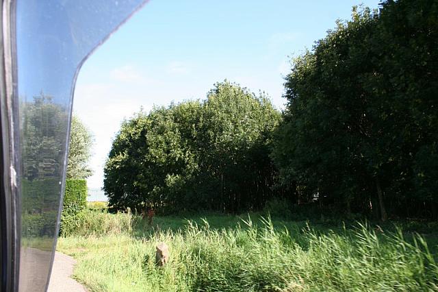 IMG 0347 800x533