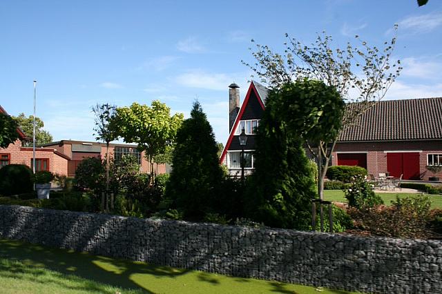 IMG 0354 800x533